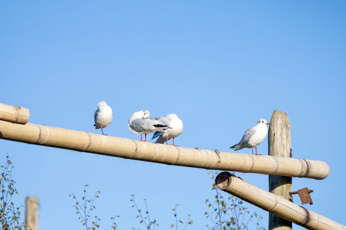 Sunny Saturday with the folks